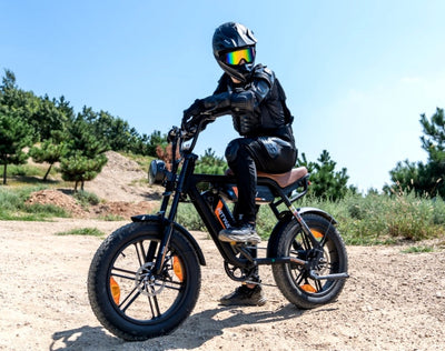 HITWAY BK29S E-Bike mit Doppelbatterie - Aran Shop