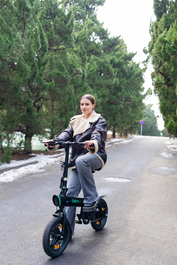 EG01 Electric Bicycle Aran Shop