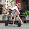 EVERCROSS A1 Elektroroller（ABE） Aran Shop